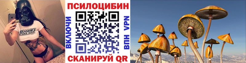 наркотики  Харовск  Галлюциногенные грибы Psilocybe 