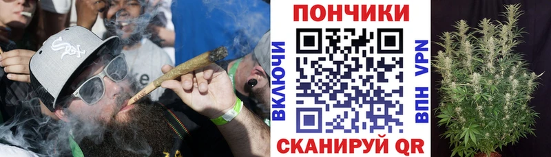 Бошки марихуана план Харовск